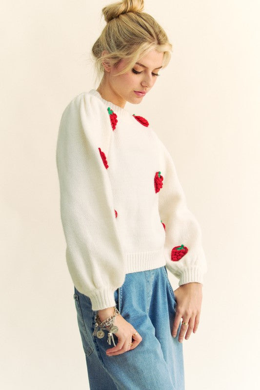 Davi & Dani Crochet Strawberry Round Neck Sweater Supply