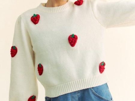 Davi & Dani Crochet Strawberry Round Neck Sweater Supply