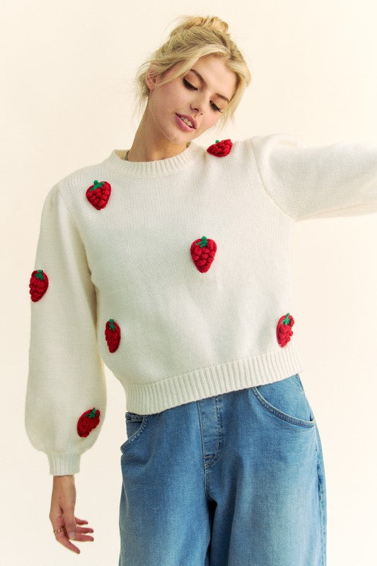 Davi & Dani Crochet Strawberry Round Neck Sweater Supply