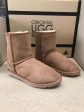 CHESTNUT SHORT UGG BOOTS For Cheap